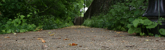 Park Pathway