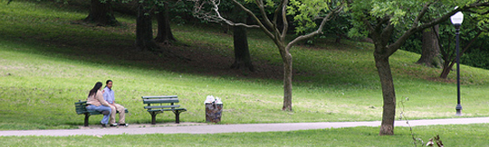 Park Bench